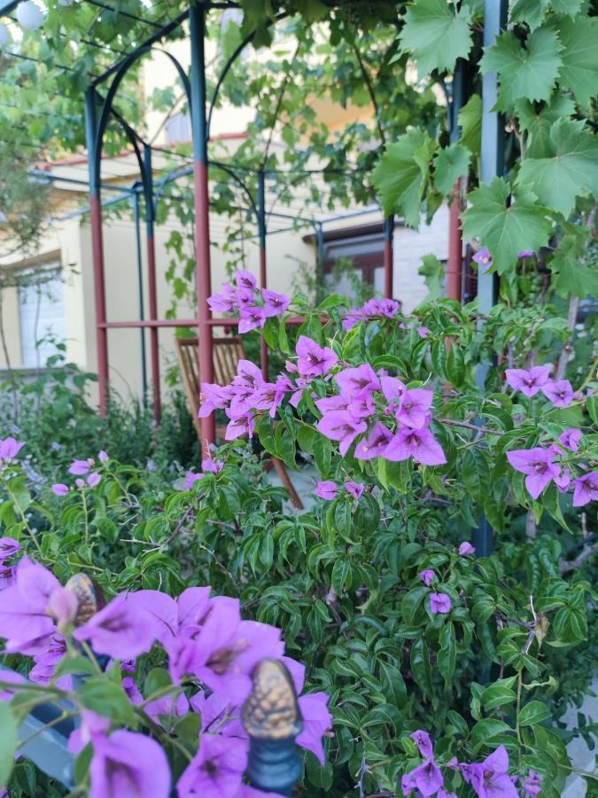 Summer Time Premantura Dış mekan fotoğraf