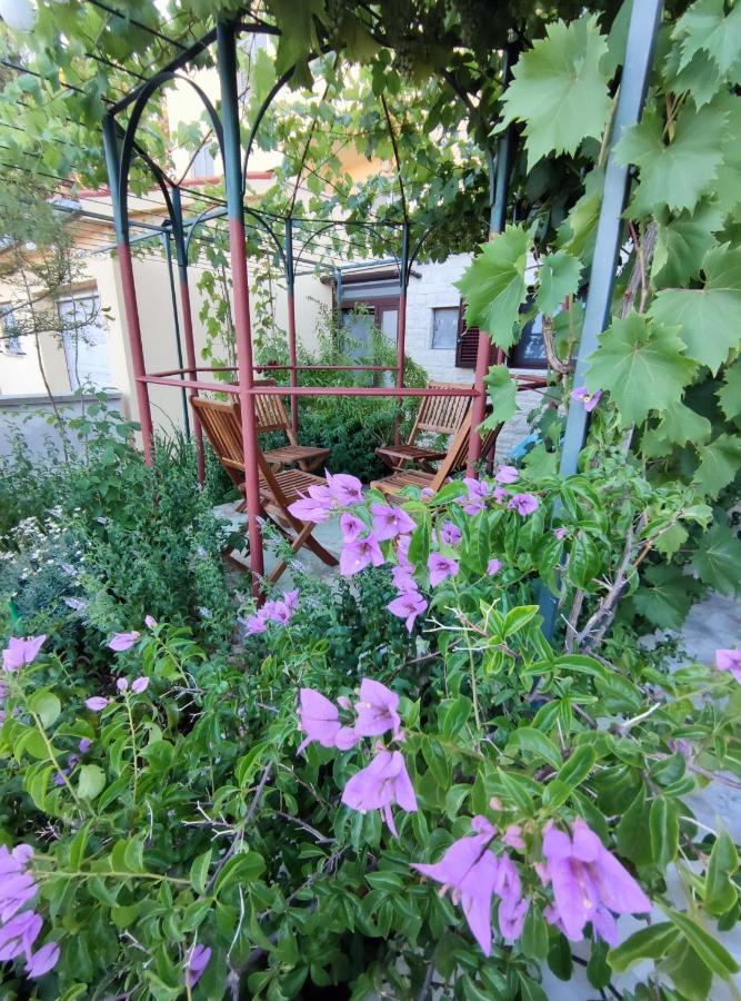 Summer Time Premantura Dış mekan fotoğraf